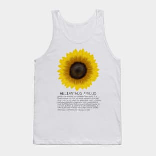 Yellow Sunflower Genus and Description Print Tank Top